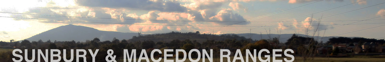 Banner Second Page